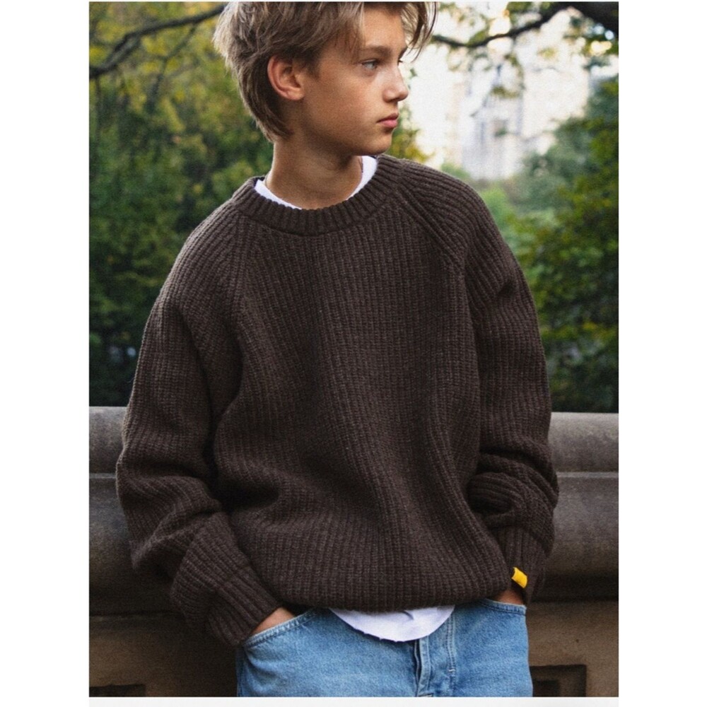 Brown Chunky Knit Crewneck Sweater